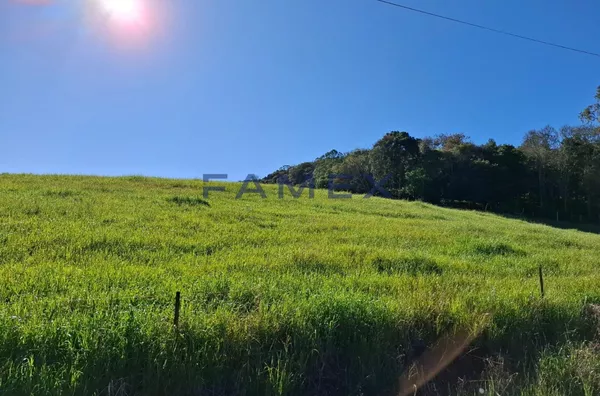 SÍTIO À VENDA COM 20.000M² PRÓXIMO A CIDADE DE PATO BRANCO