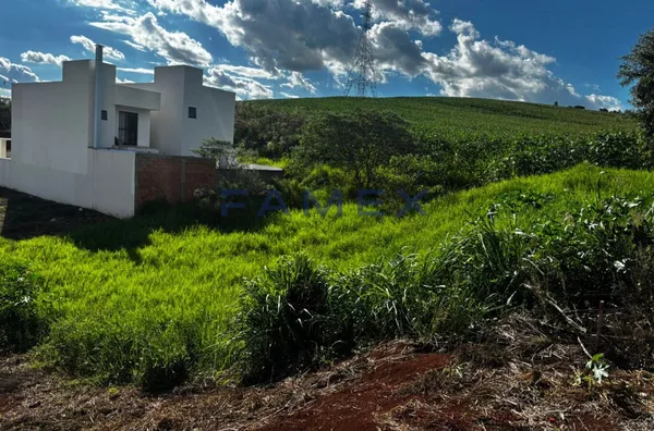 Terreno à venda - Bairro Fraron - Pato Branco