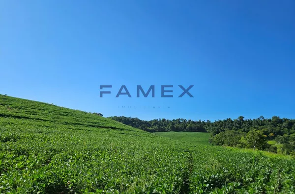 ÁREA RURAL PRODUTIVA EM SANTO ANTÔNIO DO SIEMENS, CAPANEMA 