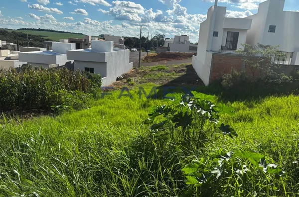Terreno à venda - Bairro Fraron - Pato Branco