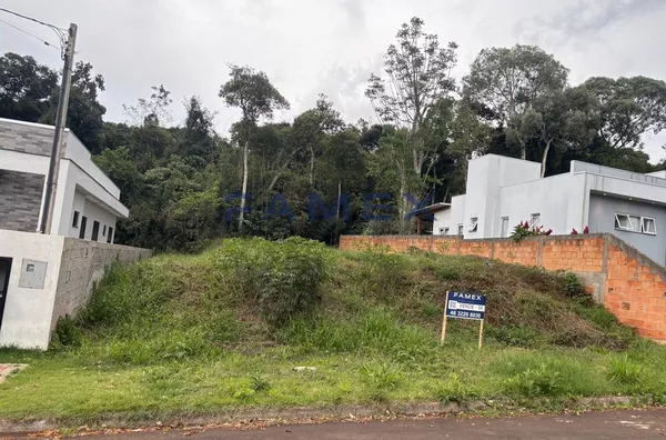 Terreno para venda-Bairro São Luiz-Pato Branco-PR-