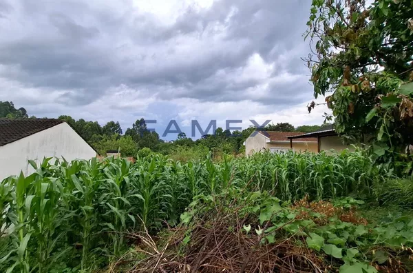 TERRENO À VENDA COM 406M²,  SANTA TERESINHA, PATO BRANCO