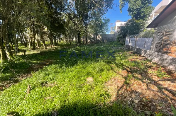 TERRENO A VENDA - BAIRRO VILA ISABEL - PATO BRANCO