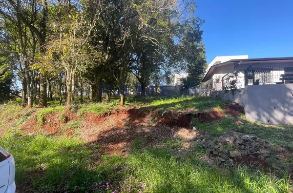 TERRENO A VENDA - BAIRRO VILA ISABEL - PATO BRANCO