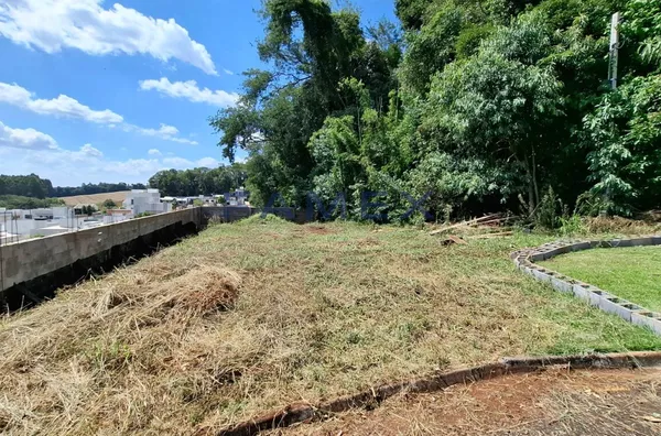 Terreno à venda - 513 m² - Bairro São Francisco - Pato Branco