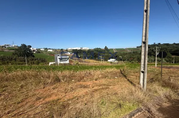 Terrenos à venda - Bairro São Luis - Pato Branco