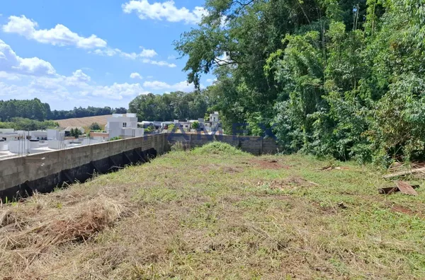 Terreno à venda - 513 m² - Bairro São Francisco - Pato Branco