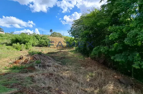 LOTE DE 512M² PRÓXIMO A NATUREZA