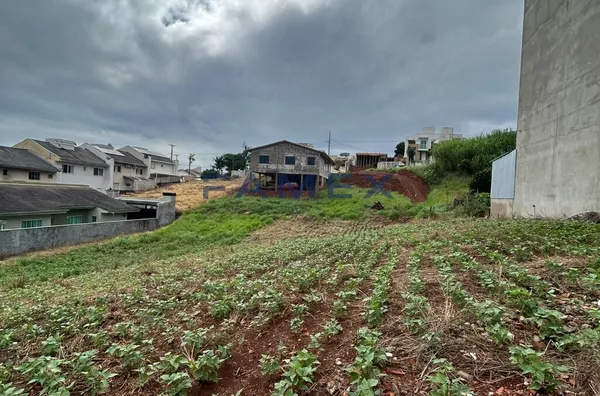 TERRENO À VENDA, BAIRRO VILA IZABEL, PATO BRANCO PR