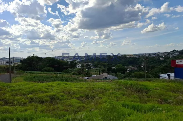 TERRENO IDEAL PARA CONSTRUIR A SUA EMPRESA