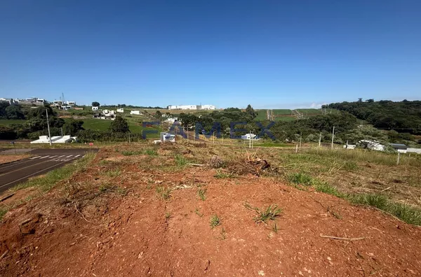 Terrenos à venda - Bairro São Luis - Pato Branco