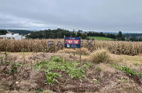Terreno para venda,  Parzianello, Pato Branco