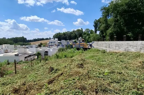 Terreno à venda - 438 m² - Bairro São Francisco - Pato Branco