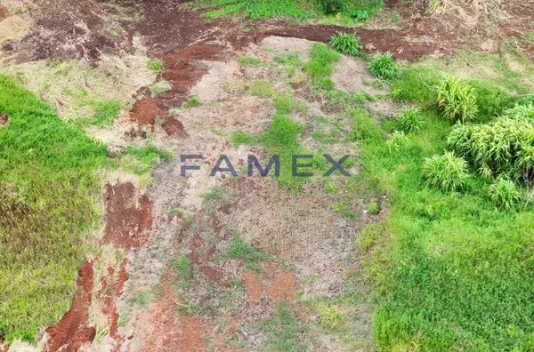 Terreno à venda - 420m² - Bairro Jardim Floresta - Pato Branco