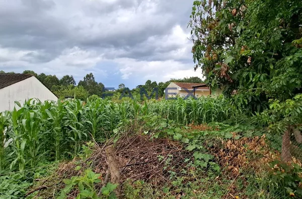 TERRENO À VENDA COM 406M²,  SANTA TERESINHA, PATO BRANCO