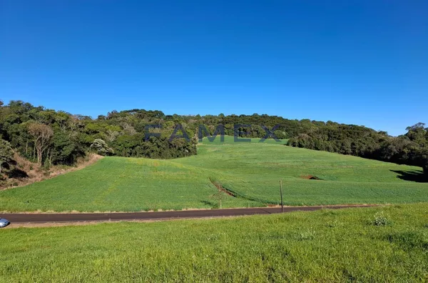 SÍTIO À VENDA COM 20.000M² PRÓXIMO A CIDADE DE PATO BRANCO