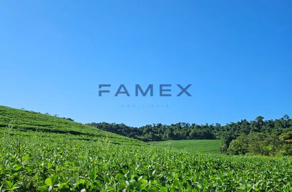 ÁREA RURAL PRODUTIVA EM SANTO ANTÔNIO DO SIEMENS, CAPANEMA 