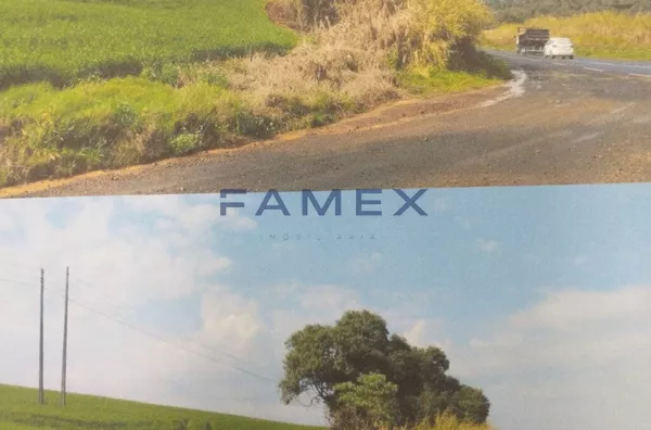 TERRENO INDUSTRIAL/ ÁREA RURAL