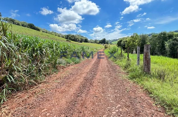 Chácara para venda,  Interior, Pato Branco