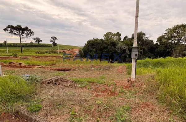 Terreno à venda - 420m² - Bairro Jardim Floresta - Pato Branco