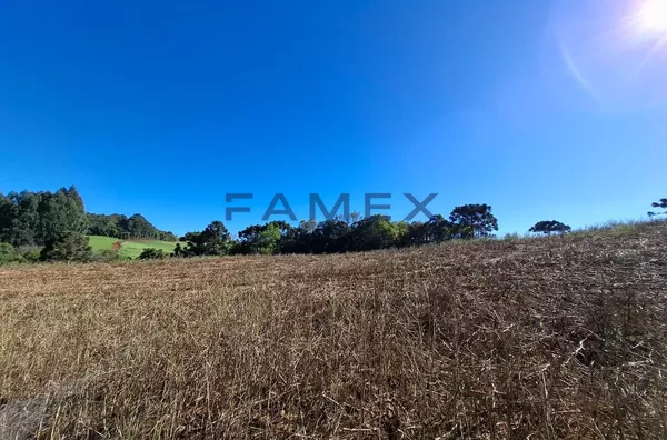 6 ALQUEIRES DE TERRA A VENDA EM MARIÓPOLIS PR