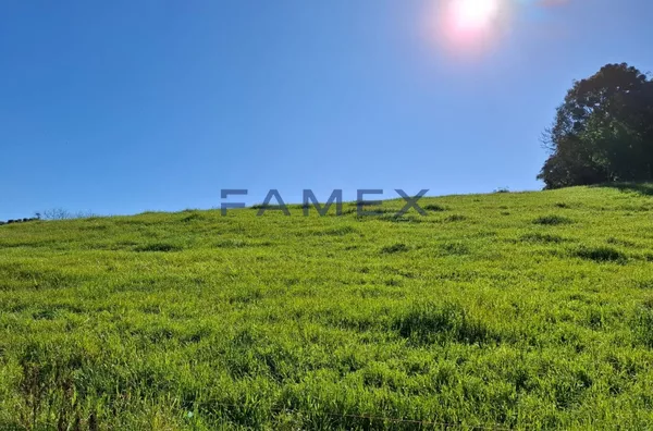 SÍTIO À VENDA COM 20.000M² PRÓXIMO A CIDADE DE PATO BRANCO