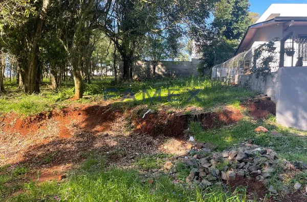 TERRENO A VENDA - BAIRRO VILA ISABEL - PATO BRANCO