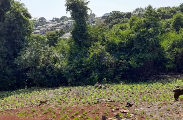 TERRENO À VENDA, BAIRRO PLANALTO