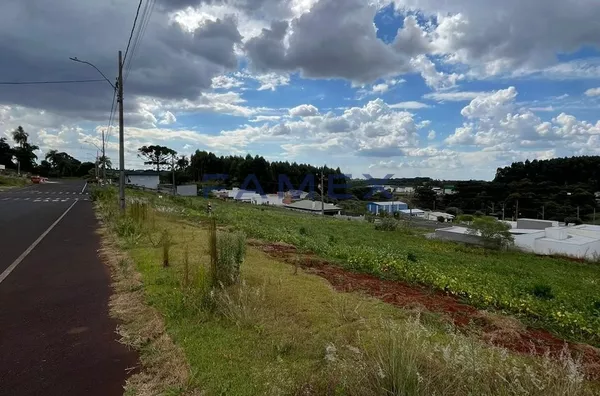 Terreno para venda, 470,63m² Sao Francisco, Pato Branco