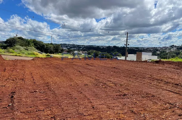 Terreno à venda - 427,66m² - Bairro Industrial - Pato Branco