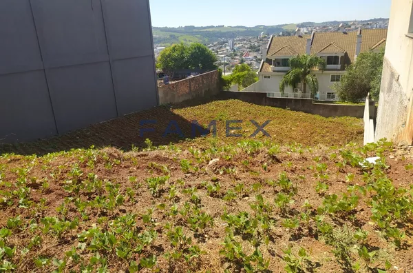 TERRENO À VENDA NO BAIRRO JARDIM DAS AMÉRICAS