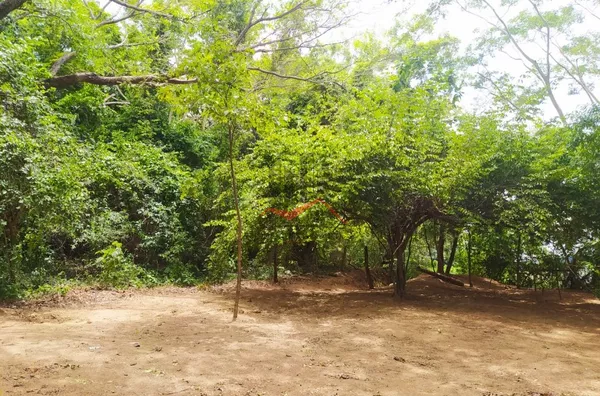 Chácara para venda pesqueiro panorama