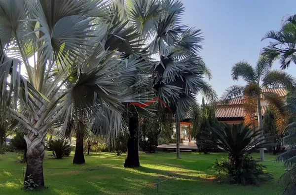 Chácara para venda Panorama-SP