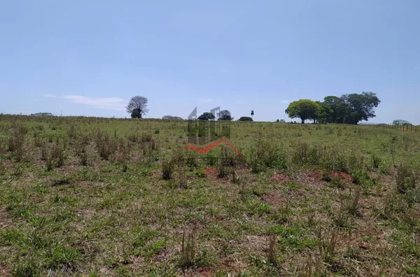 Sitio com 10 alqueires a venda às margens do Rio Paraná, em Paulicéia 