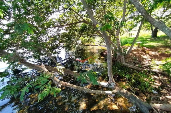 Pousada às margens do Rio Paraná para venda, em Panorama (SP)