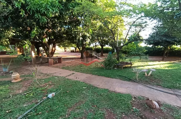 Várias espécies de árvores frutíferas 