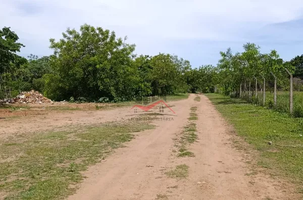 Em Panorama-SP, chácara a venda com 40 mil m² às margens do Rio Paraná com 2 casas a 10 minutos do centro da cidade