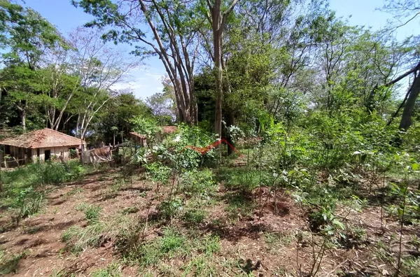 Sitio com 10 alqueires a venda às margens do Rio Paraná, em Paulicéia 