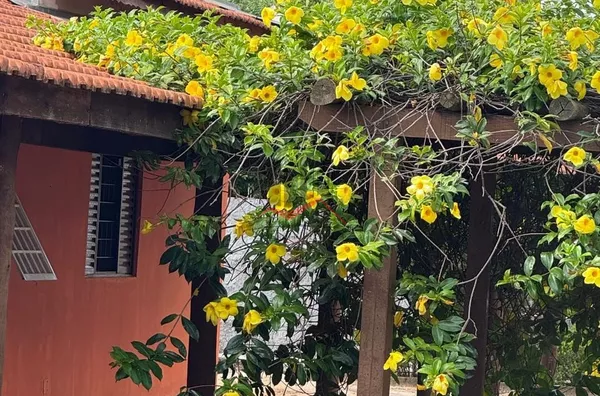 Rancho para aluguel,  Condomínio Rio Paraná, Paulicéia