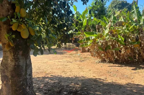 Casa com 1 dormitório para venda no bairro Quinta das Iaras, em Panorama/SP - Foto 10