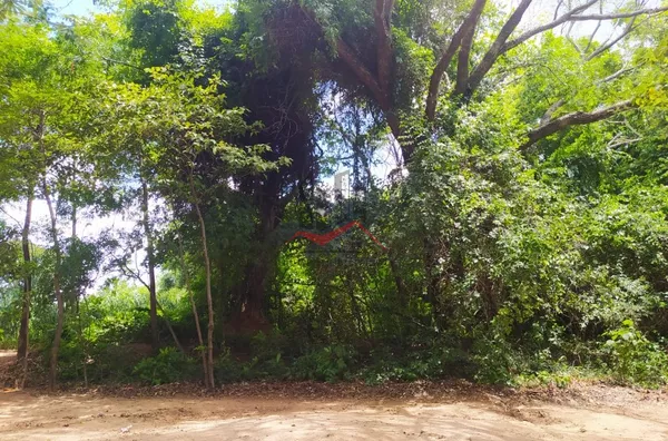 Chácara para venda pesqueiro panorama