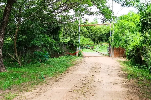 Em Panorama-SP, chácara a venda com 40 mil m² às margens do Rio Paraná com 2 casas a 10 minutos do centro da cidade