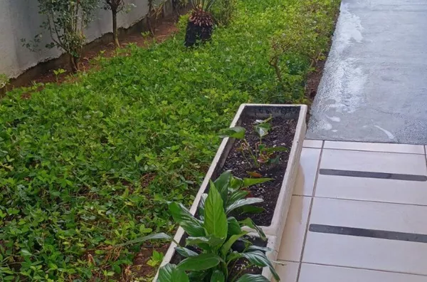  Oportunidade Única na Vila Paranaguá!