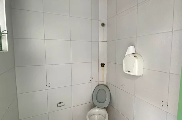 Casa para aluguel,  Vila Robertina, São Paulo