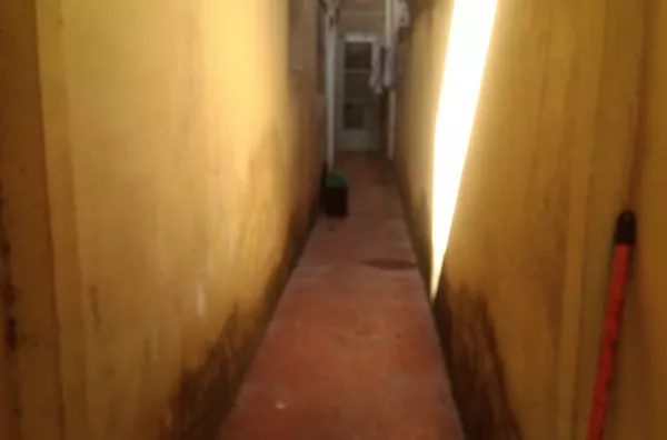 Casa para aluguel,  Parque Císper, São Paulo