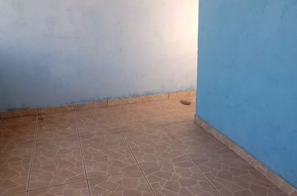 Casa para aluguel,  Jardim Belém, São Paulo