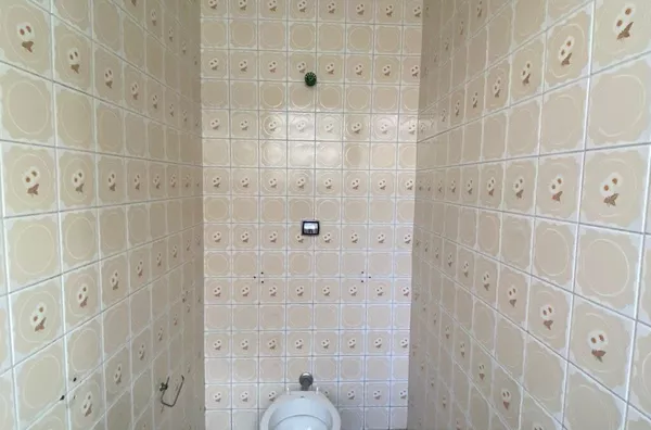 Casa para aluguel,  Vila Robertina, São Paulo