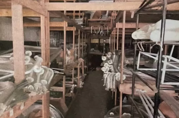 - galpoes para venda,  Vila Nova Savoia, Vila Matilde  São Paulo