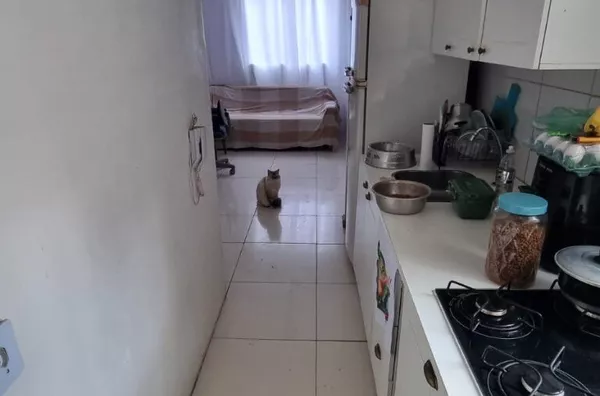 Apartamento com 01 dormitório, sala, cozinha, banheiro e área de serviço. Fácil acesso aos pontos de ônibus.