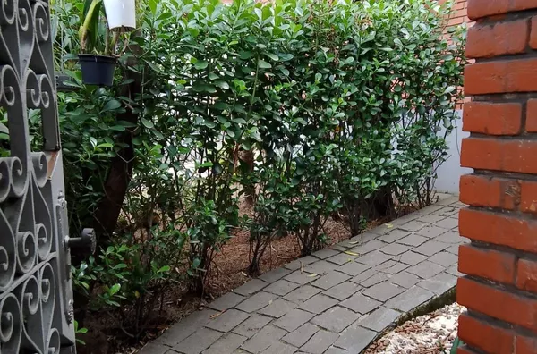 Casa Térrea  para venda,  Vila Aparecida,  São Miguel Paulista - São Paulo